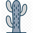 Cactus Plant Nature Icon