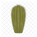 Cactus Icon