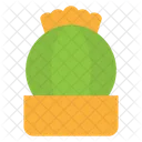 Plant Nature Pot Icon