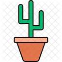 Cactus  Icon