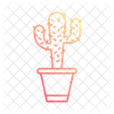 Cactus  Icon