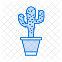 Cactus  Icon