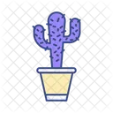 Cactus  Icon