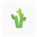 Cactus Plant Nature Icon