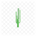 Cactus Plant Nature Icon