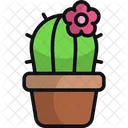 Cactus  Icon