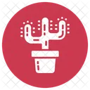 Cactus  Icon