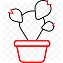 Cactus  Icon