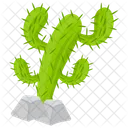 Cactus Cactus Pirate Cactus Monstre Icône