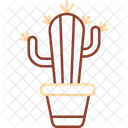 Cactus Desert Spikes Icon