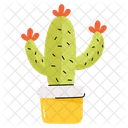 Cactus  Icon