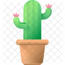 Cactus  Icono