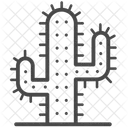 Cactus  Icon