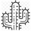 Cactus  Icon