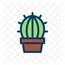 Cactus  Icono
