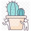 Cactus  Icône
