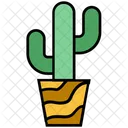 Cactus  Icon