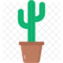 Cactus  Icon