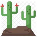 Cactus  Icon