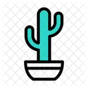Cactus  Icône