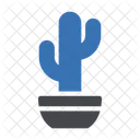 Cactus  Icon
