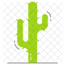 Cactus  Icon