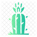 Cactus  Icono