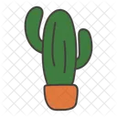 Cactus  Icon