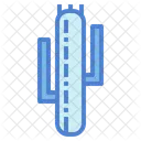Cactus  Icon