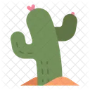 Cactus  Icon