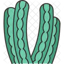 Cactus Organo Tubo Icono
