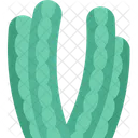 Cactus Organo Tubo Icono