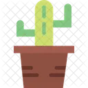 Cactus  Icon
