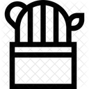 Cactus  Icon