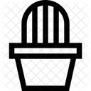 Cactus  Icon