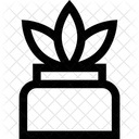 Cactus  Icon