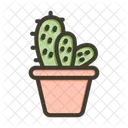 Cactus  Icon