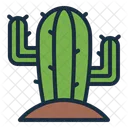 Cactus Desert Plant Icon