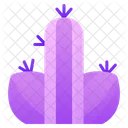 Cactus Desert Plant Icon
