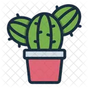 Cactus Plant Nature Icon