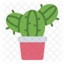 Cactus Plant Nature Icon
