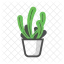 Cactus  Icon
