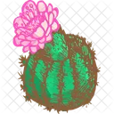 Cactus in Bloom  Icon