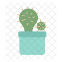 Cactus in pot  Icon