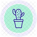 Cactus in pot  Icon