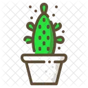 Cactus inconformista  Icono