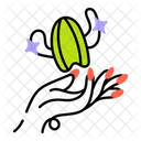 Cactus Magic  Icon