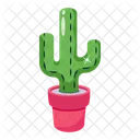 Suculento Cactus Planta Icono