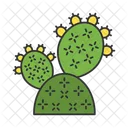 Nopal  Icono