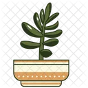 Cactus On Pot  Icon